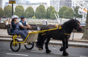 The Technique Running Too Fast